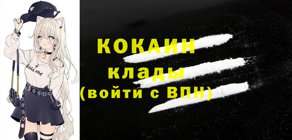 прущие крисы Горняк
