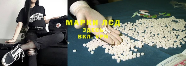 PSILOCYBIN Горнозаводск